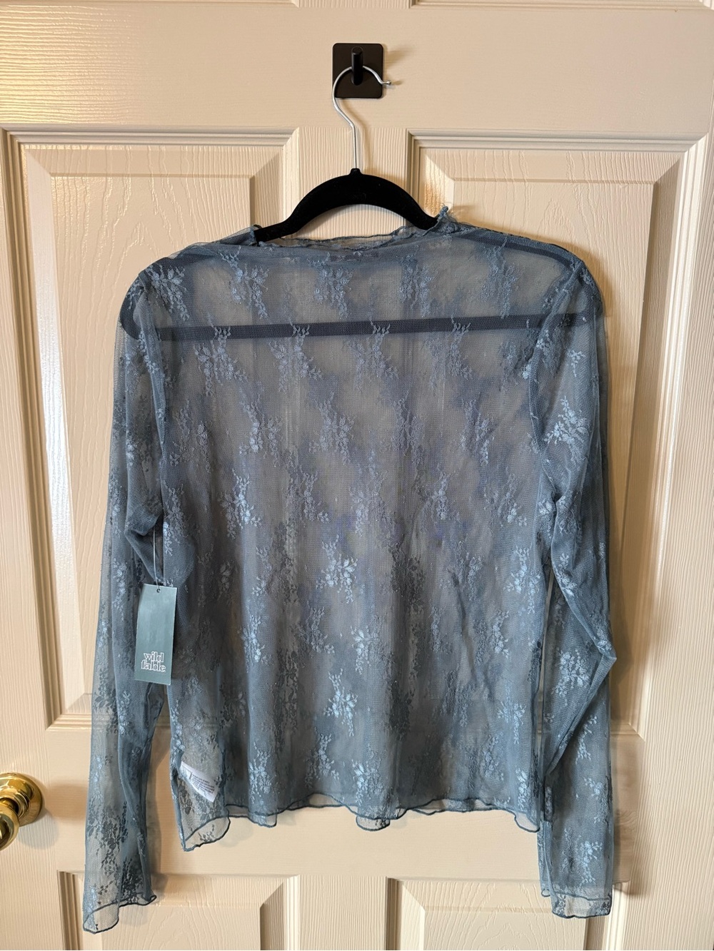 wild fable Light Blue Sheer Floral Lace Long Sleeve Top